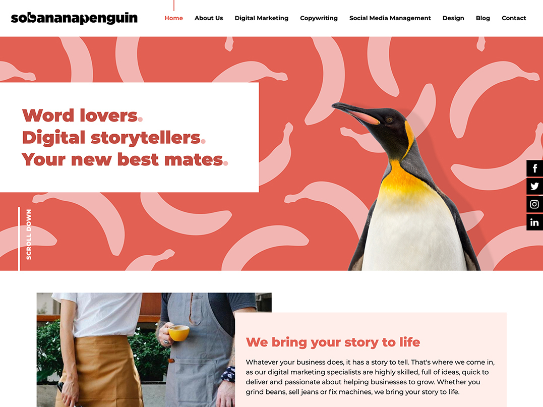 So Banana Penguin website design