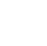 An icon of a webpage with a padlock